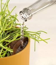 Load image into Gallery viewer, Sunset Orange stand:all
