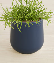 Load image into Gallery viewer, Deep Navy stand:all
