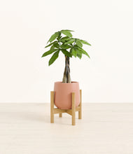 Load image into Gallery viewer, Calm Rose stand:bamboo
