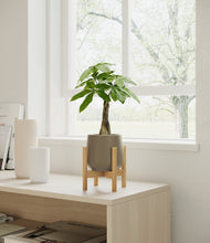 Load image into Gallery viewer, Olive stand:bamboo
