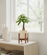 Load image into Gallery viewer, Almond Green stand:walnut
