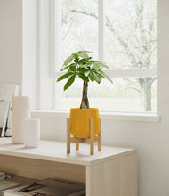 Load image into Gallery viewer, Mustard stand:bamboo
