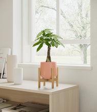 Load image into Gallery viewer, Calm Rose stand:bamboo
