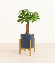 Load image into Gallery viewer, Deep Navy stand:bamboo
