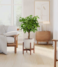 Load image into Gallery viewer, Natural Bamboo stand:walnut
