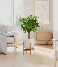 Load image into Gallery viewer, Natural Bamboo stand:bamboo
