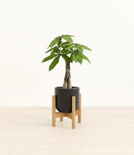 Load image into Gallery viewer, Stone Black stand:bamboo
