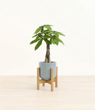 Load image into Gallery viewer, Misty Blue stand:bamboo
