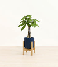 Load image into Gallery viewer, Twilight Blue stand:bamboo
