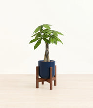 Load image into Gallery viewer, Twilight Blue stand:walnut
