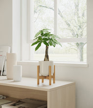 Load image into Gallery viewer, Cotton White stand:bamboo
