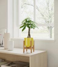 Load image into Gallery viewer, Key Lime Yellow stand:bamboo
