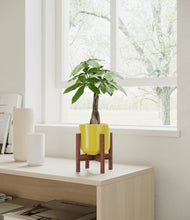 Load image into Gallery viewer, Key Lime Yellow stand:walnut
