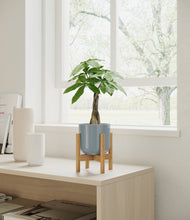 Load image into Gallery viewer, Misty Blue stand:bamboo
