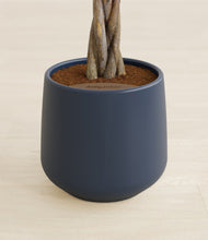 Load image into Gallery viewer, Deep Navy stand:all
