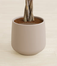 Load image into Gallery viewer, Eternal Gray stand:all
