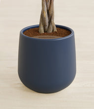 Load image into Gallery viewer, Deep Navy stand:all
