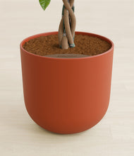 Load image into Gallery viewer, Earth Red stand:all
