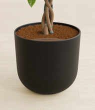 Load image into Gallery viewer, Stone Black stand:all
