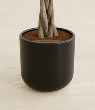 Load image into Gallery viewer, Stone Black stand:all

