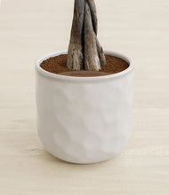 Load image into Gallery viewer, Hammered Ivory stand:all
