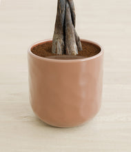 Load image into Gallery viewer, Hammered Peach Pink stand:all
