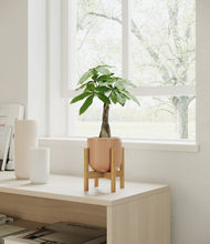 Load image into Gallery viewer, Striped Peach Pink stand:bamboo
