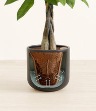 Load image into Gallery viewer, Stone Black stand:all
