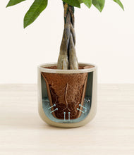 Load image into Gallery viewer, Sage Green stand:all
