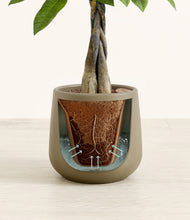 Load image into Gallery viewer, Olive stand:all
