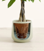 Load image into Gallery viewer, Turquoise stand:all
