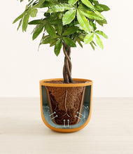 Load image into Gallery viewer, Sunset Orange stand:all
