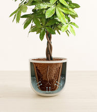 Load image into Gallery viewer, Natural Bamboo stand:all
