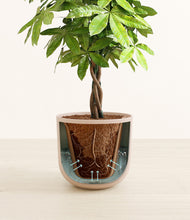 Load image into Gallery viewer, Sandy Pink stand:all
