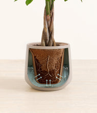 Load image into Gallery viewer, Eternal Gray stand:all
