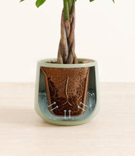 Load image into Gallery viewer, Turquoise stand:all
