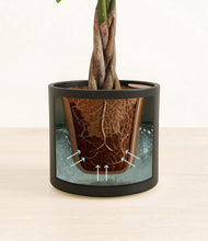 Load image into Gallery viewer, Black stand:all
