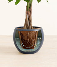 Load image into Gallery viewer, Deep Navy stand:all
