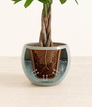 Load image into Gallery viewer, Deep Ocean stand:all
