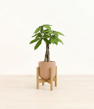 Load image into Gallery viewer, Striped Peach Pink stand:bamboo
