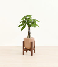Load image into Gallery viewer, Striped Peach Pink stand:walnut
