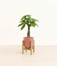 Load image into Gallery viewer, Hammered Rose Pink stand:bamboo
