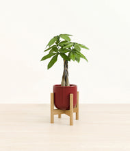 Load image into Gallery viewer, Striped Cherry Red stand:bamboo
