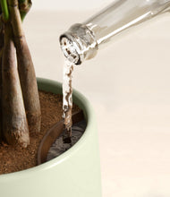 Load image into Gallery viewer, Turquoise stand:all
