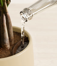 Load image into Gallery viewer, Almond Green stand:all
