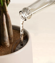 Load image into Gallery viewer, Eternal Gray stand:all
