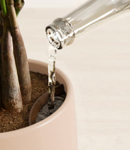 Load image into Gallery viewer, Gentle Pink stand:all
