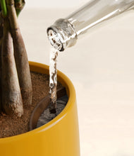 Load image into Gallery viewer, Mustard stand:all
