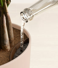 Load image into Gallery viewer, Sandy Pink stand:all
