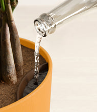 Load image into Gallery viewer, Sunset Orange stand:all
